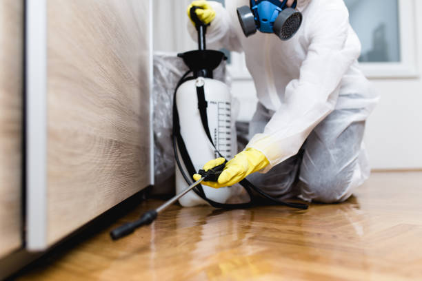 Reliable Windsor, VA Pest Control Solutions