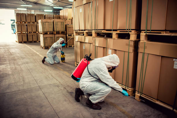 Trusted Windsor, VA Pest Control Experts
