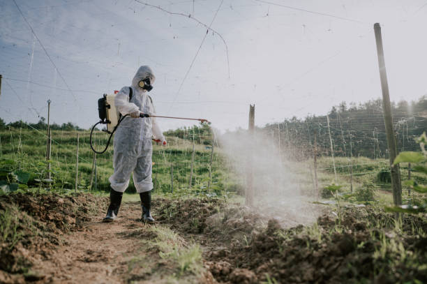 Best Ant Control Services  in Windsor, VA